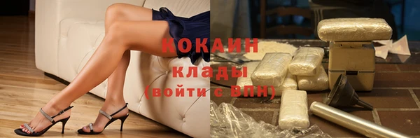 spice Новозыбков