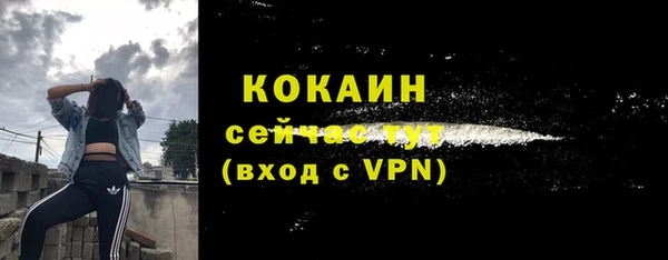 spice Новозыбков