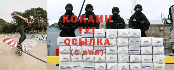 spice Новозыбков