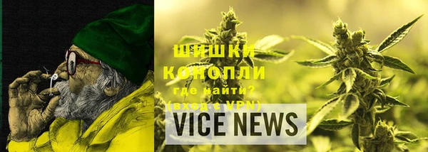 spice Новозыбков