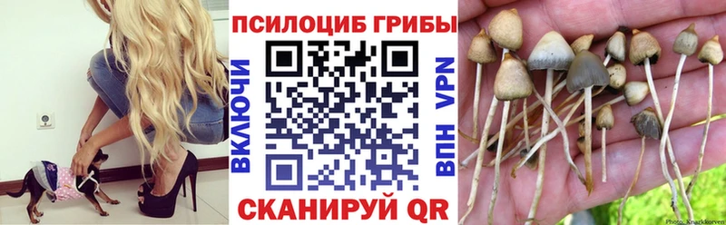 Купить  Канаш  Галлюциногенные грибы прущие грибы 